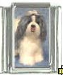 Dog charm - Shih Tzu 5